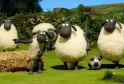 小羊最新爆料网站,揭秘网络世界背后的秘密与真相