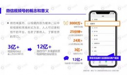 开心养猫场爆料视频下载,独家爆料视频带你走进猫咪的欢乐世界