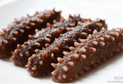 烟台海参爆料最新消息,揭秘市场新风向与品质升级