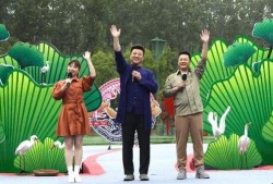 文安吃瓜视频网红最新,揭秘网络红人的崛起之路