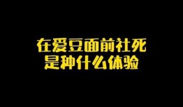 娱乐圈爆料热点素材视频,揭秘明星幕后故事，热点素材视频大揭秘！